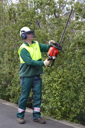 Jim's Mowing Pic 2 - Hedge Cleaning