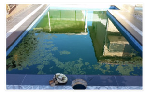 Express Pool Cleaning Carindale Pic 4