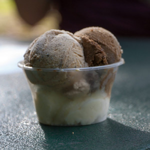 Daintree Ice-Cream Co Pic 3