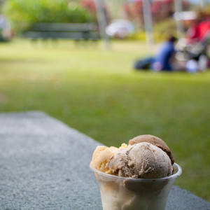 Daintree Ice-Cream Co Pic 2