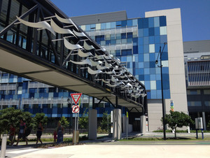 Gold Coast University Hospital Pic 5 - The new GC University Hospital