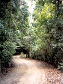 Mt Glorious Getaway Cottages And Conference Centre Pic 1 - Mt Glorious Getaways