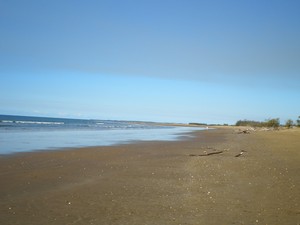 Moore Park Beach Motel Pic 2 - 17km Moore Park Beach