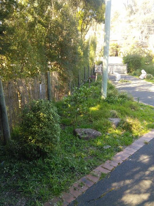 Pierre The Gardener Pic 1 - Garden bed makeover before in Eltham