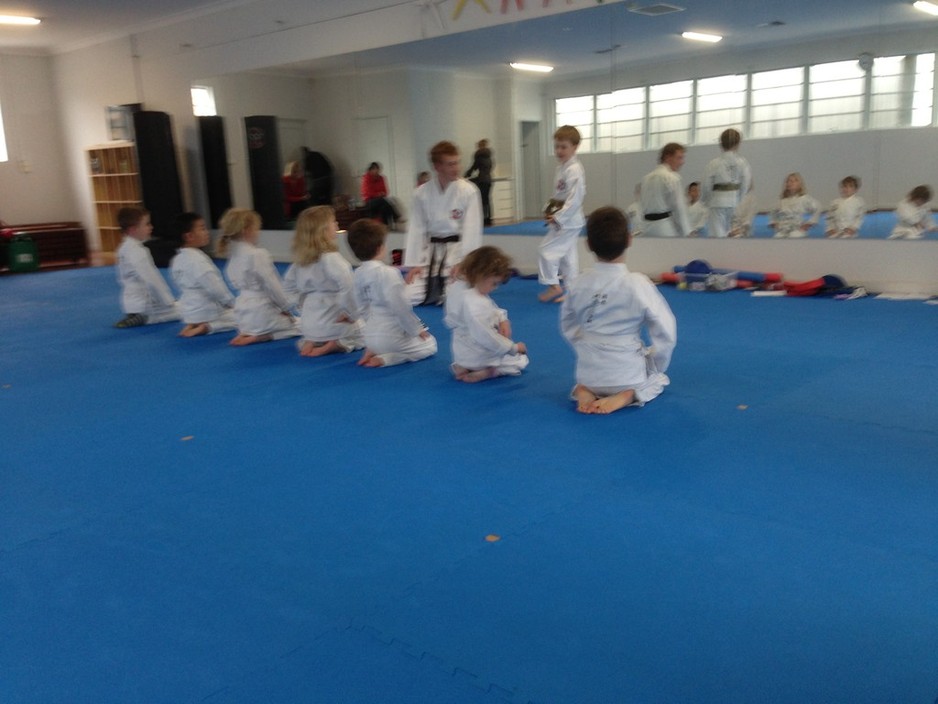 International Goju Karate Schools Pic 1