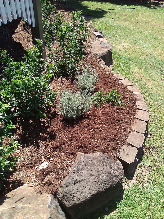 Urban Sanctuary Landscaping Pic 1 - A border garden of Mock oronge and Italian lavendar