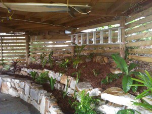 Urban Sanctuary Landscaping Pic 5 - A tropical shade garden