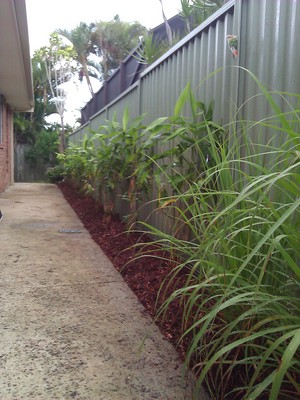 Urban Sanctuary Landscaping Pic 4 - Tiger grass neighbour screen