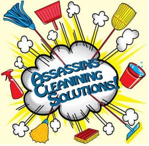 Assassins Cleaning Solutions Pic 2