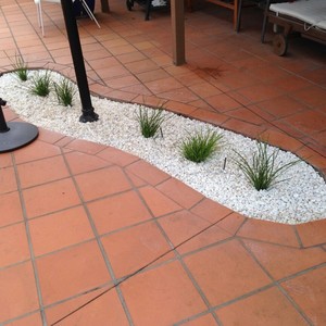 Better Edges Garden Services Pic 3 - Complete Garden bed with small plants Lime tuff lomandras White pebbles Lovely maintenance compact plants