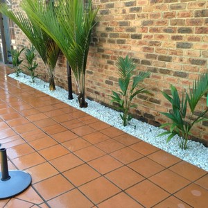 Better Edges Garden Services Pic 5 - Complete garden bed Bangalow Palus White pebbles to maintain that tropical poolside feature