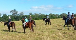 Tamborine Mountain Trail Rides Pic 2