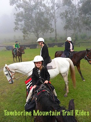 Tamborine Mountain Trail Rides Pic 5