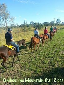 Tamborine Mountain Trail Rides Pic 3