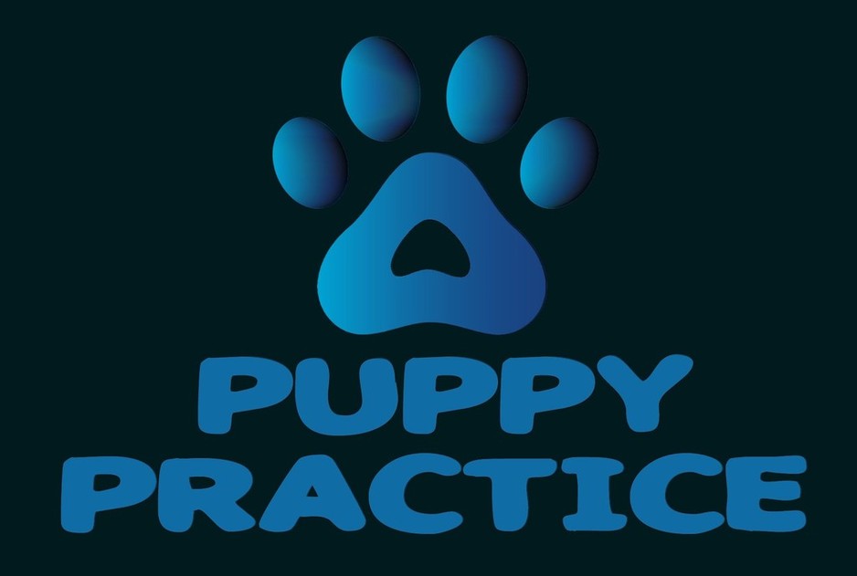 A Puppy Practice Pic 1