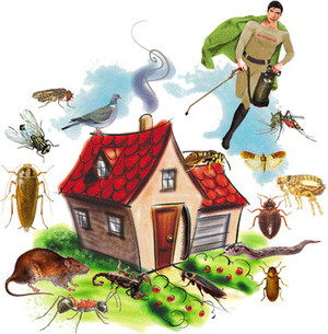 Falls Pest Control Pic 2 - are you being invaded by biting stinging and destructive pest call us now