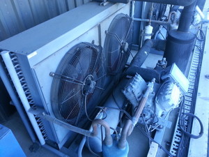 NH3 Pic 3 - Condensing unit for cool room or cold store