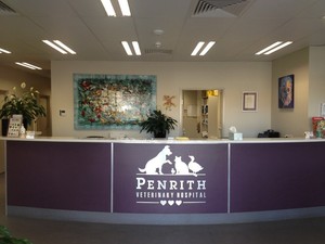 Penrith Veterinary Hospital Pic 5