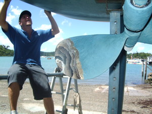 Shute Harbour Slipway Pic 4 - Qualified Shipwrights onsite