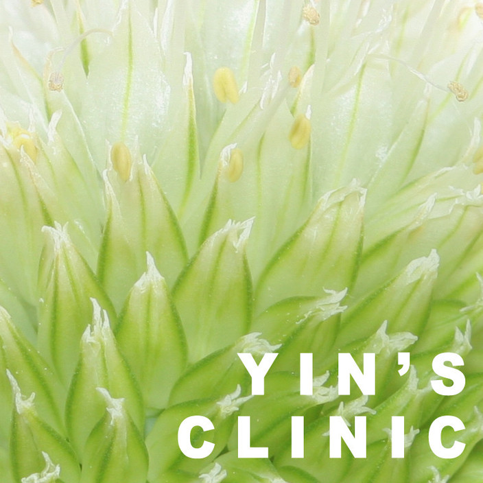 Yin's Clinic of Traditional Chinese Medicine & Acupuncture Pic 1