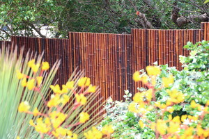 Wide Bay Native Landscapes Pic 3 - Bamboo fencing