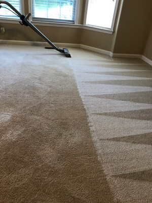 Carpet Cleaning Double Bay Pic 2