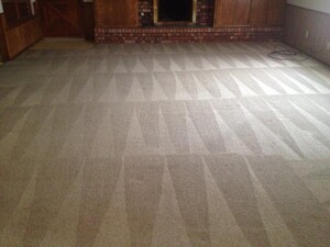 Carpet Cleaning Double Bay Pic 3