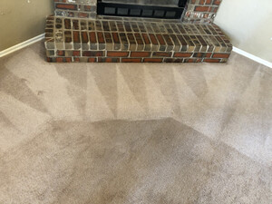 Carpet Cleaning Double Bay Pic 4