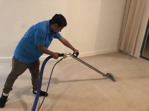 Optima Cleaners: House Cleaning Services in Brisbane Pic 3 - Carpet Cleaners in Brisbane