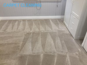 Optima Cleaners: House Cleaning Services in Brisbane Pic 4 - Carpet Cleaning in Brisbane