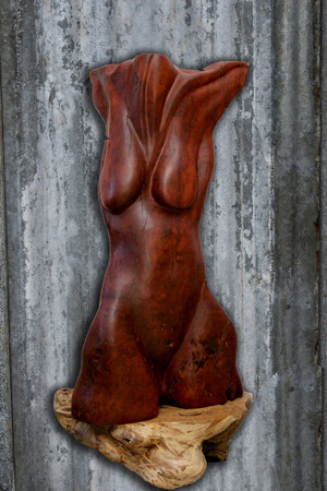 The Berenguer Studio Gallery Pic 2 - Red Gum Female Torso