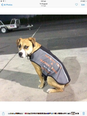 Peninsula Truck & Machinery Services Pic 5 - Key our Diesel Dog in Uniform