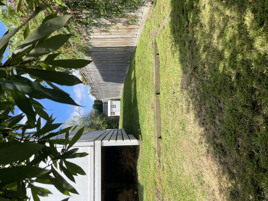 Greenseed Gardens & Lawns Pic 1 - Large backyard lawn mowed edged blown in Frankston