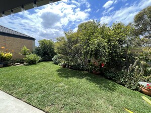 Greenseed Gardens & Lawns Pic 4 - Fresh cut and Edge in Cranbourne West