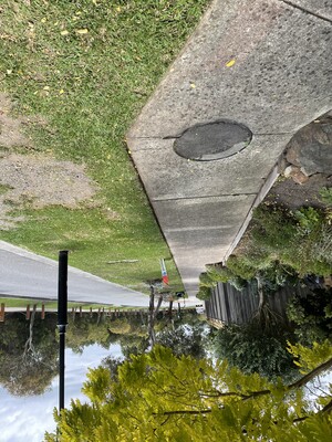 Greenseed Gardens & Lawns Pic 5 - Corner block mowed Edged in Cranbourne West