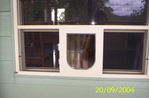 Pet Doors Installed Pic 2 - cat door fitted into flyscreen