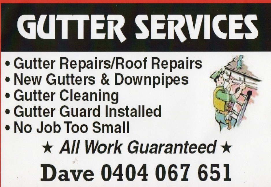 Gutter Services Pic 1