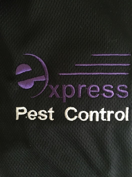 Express Pest Control Pic 1