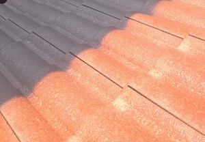 Trend Painting Solutions Pic 5 - roof respray