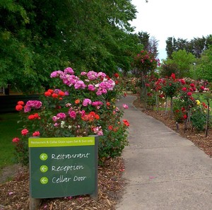 Immerse in the Yarra Valley Pic 4 - Beautiful gardens