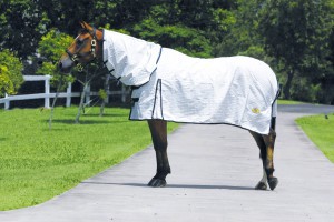 Country Scene Browbands and Saddlery Pic 2 - rugs for all seasons