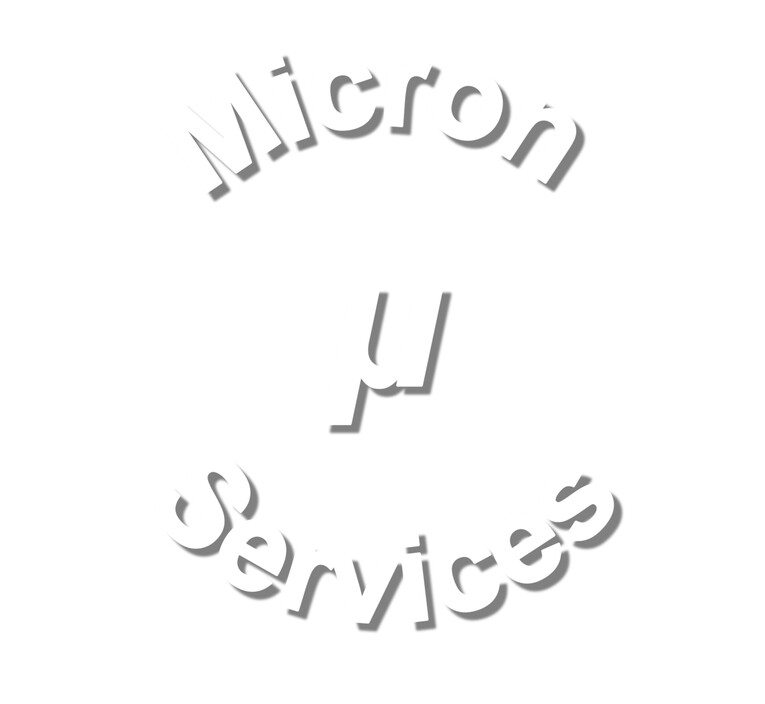 Micron Services Pic 2