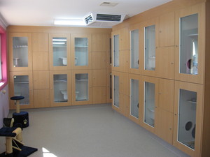 Prospect Road Veterinary Hospital Pic 4 - State of the art purpose built cattery