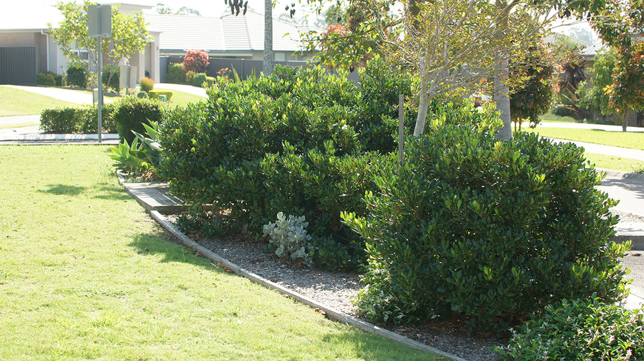 Jim's Mowing (Old Bar) Pic 1