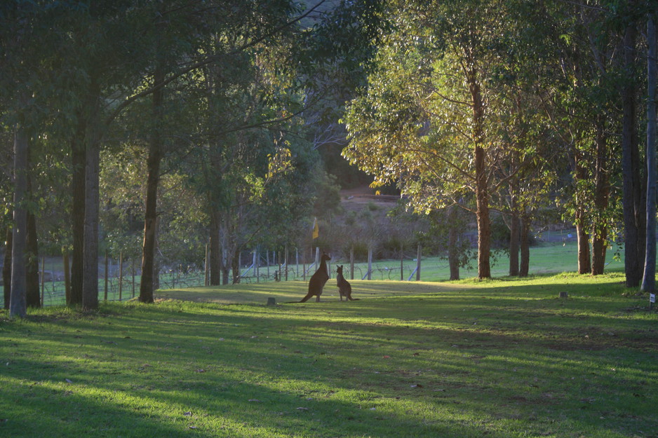 Karri Valley Estate Pic 1 - 5th hole