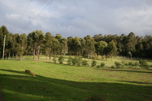 Karri Valley Estate Pic 2 - course