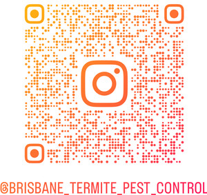 Brisbane Termite & Pest Control Pic 4 - Brisbane Termige Pest Control Instagram