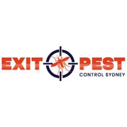 Exit Possum Removal Sydney Pic 3