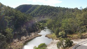 Scenic Rim Pest Management Pic 4 - Lake Moogerah overflow