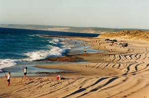 Ray White Kalbarri Pic 3 - Wittecarra beach top fishing spot